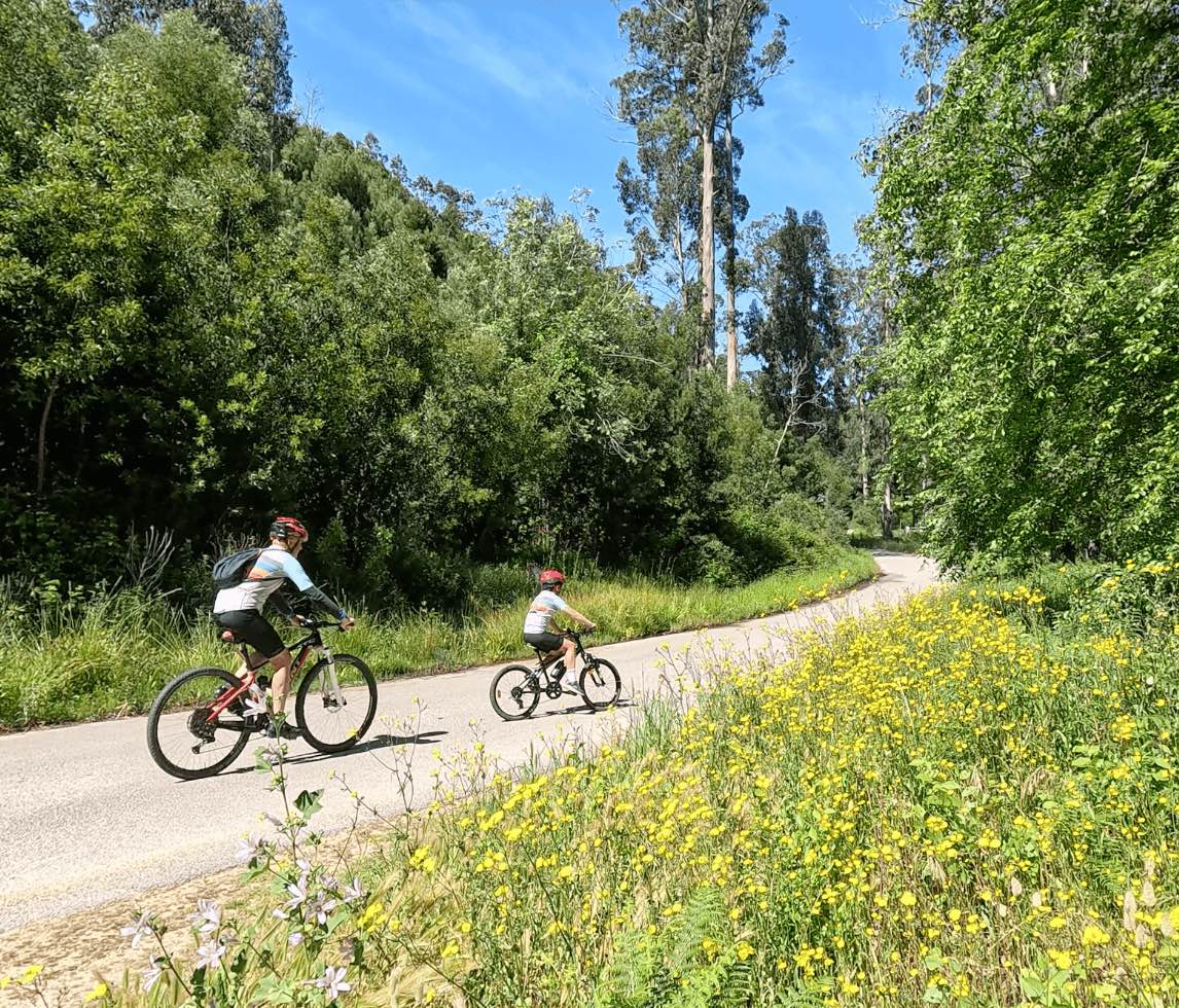 Pinhal de Leiria cycling forest trail Silver Coast Portugal nature lifestyle
