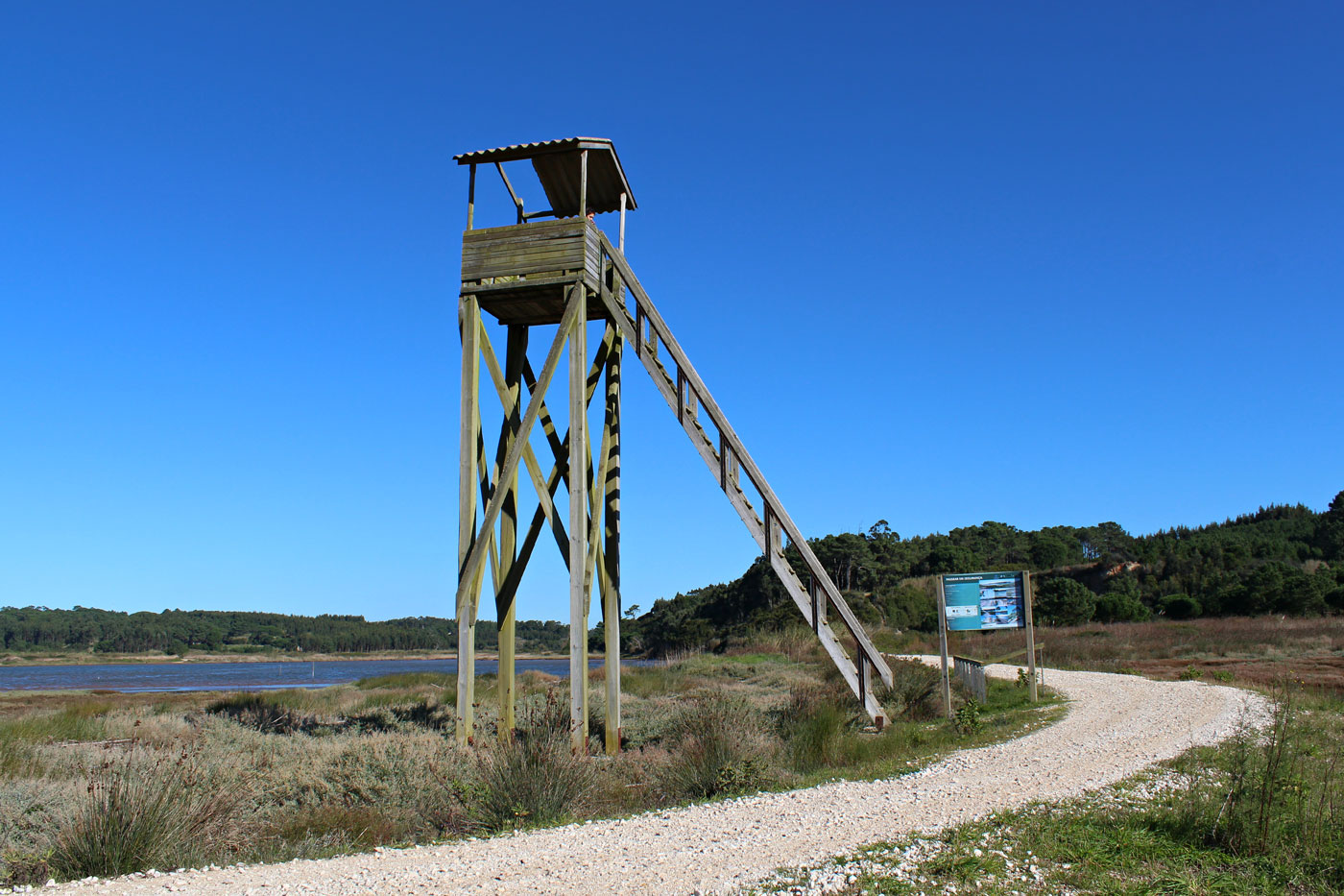 Obidos lagoon Portugal birdwatching