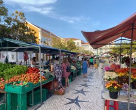 Alley in natural stone between fruit and vegetable stalls at the farmers market in Caldas da Rainha Portugal
