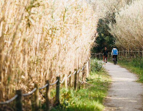 Cycling along Obidos Lagoon in Portugal 
