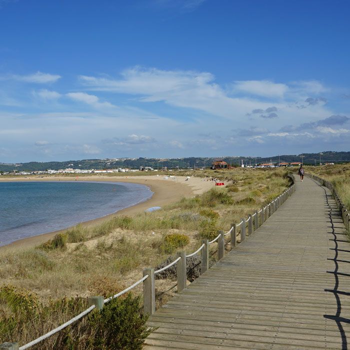 Wooden walkways that connect Salir do Porto do Sao Martinho do Porto