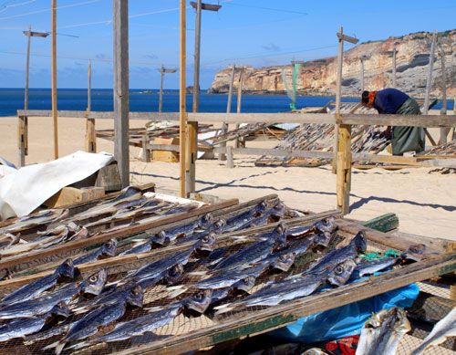 Traditional fish drying racks on the beach of Nazare in Portugal